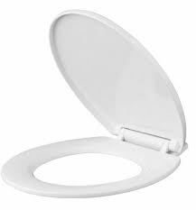Toilet Seat